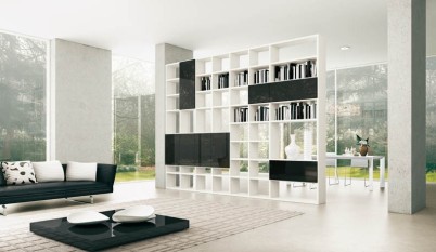 Luxury and beautiful interior design with application of the big shelf